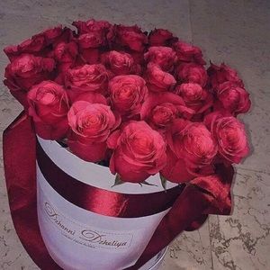 Meet your Posher, Irina